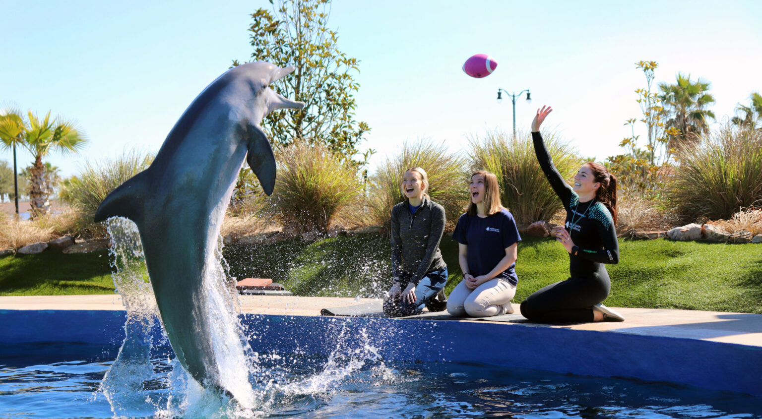 Mississippi Aquarium offers underthesea fun for everyone Magnolia