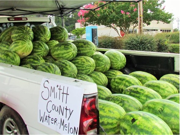 Mississippi watermelons: A great treat to beat the heat
